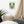 Load image into Gallery viewer, The Vacation Ace Canvas