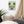 Load image into Gallery viewer, The Vacation Ace Canvas