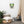 Load image into Gallery viewer, The Vacation Ace Canvas